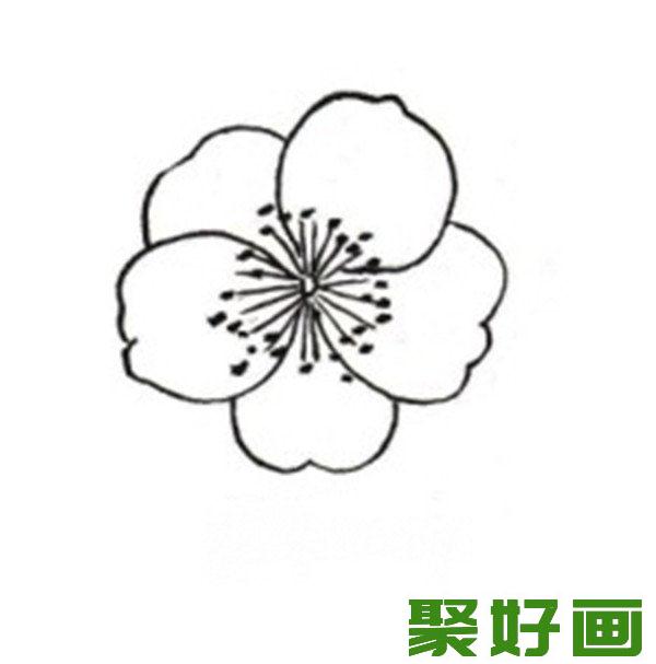 白描桃花蝴蝶花朵正面