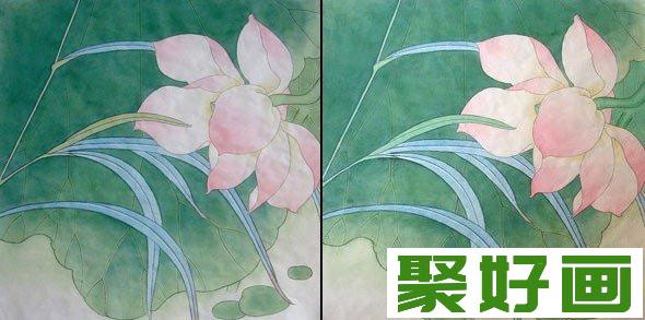 国画工笔荷花,国画荷花的画法,荷花绘画教程