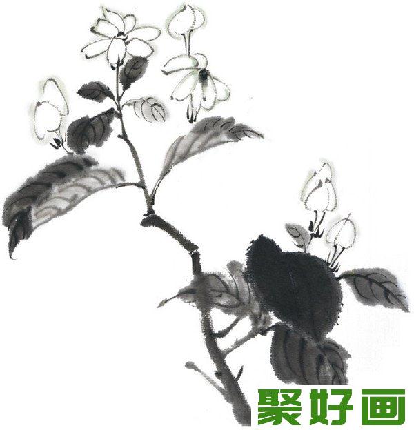 水墨茉莉花画法