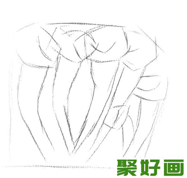 素描蘑菇轮廓