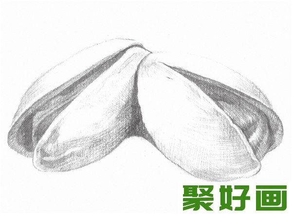 素描开心果纹路