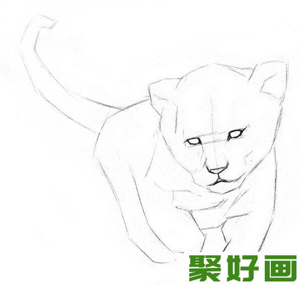 素描小狮子线条