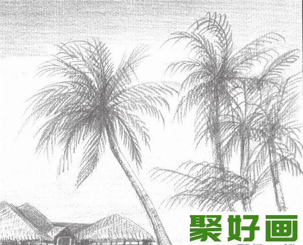 素描海边风景椰子树深化