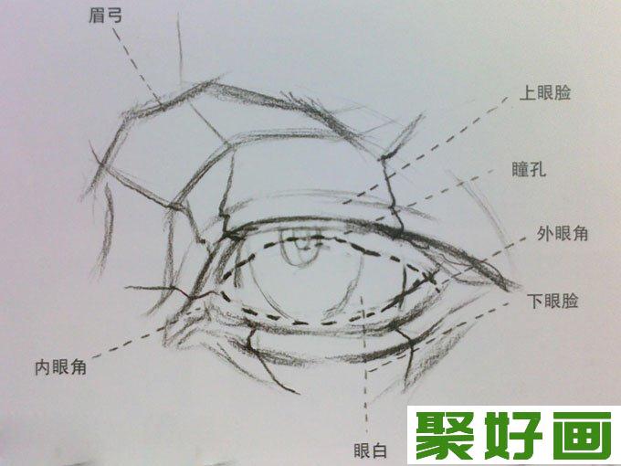 素描眼睛结构解析及写生图文步骤