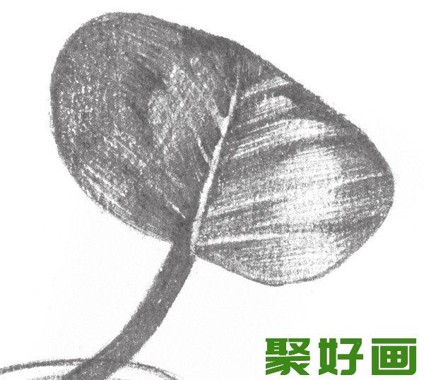 素描水葫芦