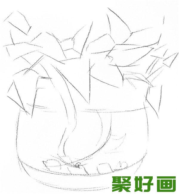 素描水培绿萝