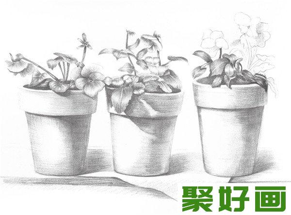 素描盆栽