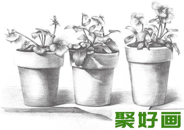 素描盆栽