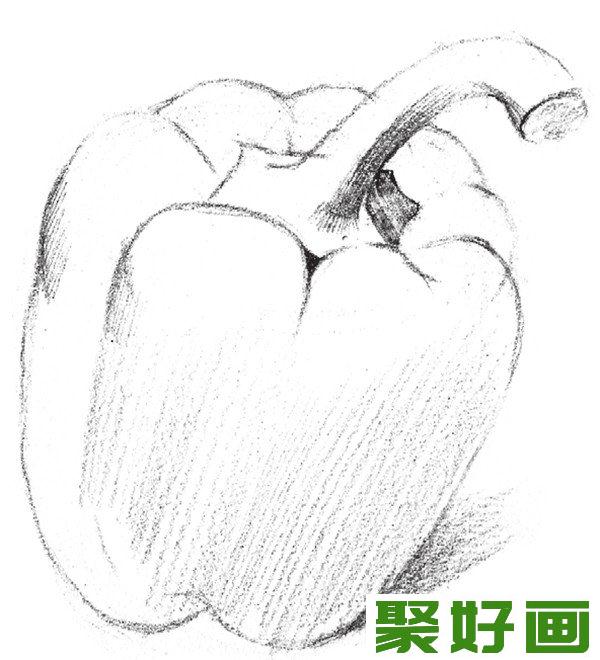 素描柿子椒明暗