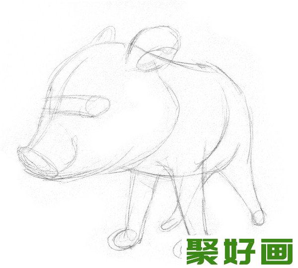 素描小野猪线条