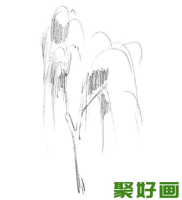 素描垂柳轮廓