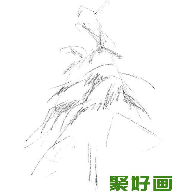 素描雪松叶子的描绘