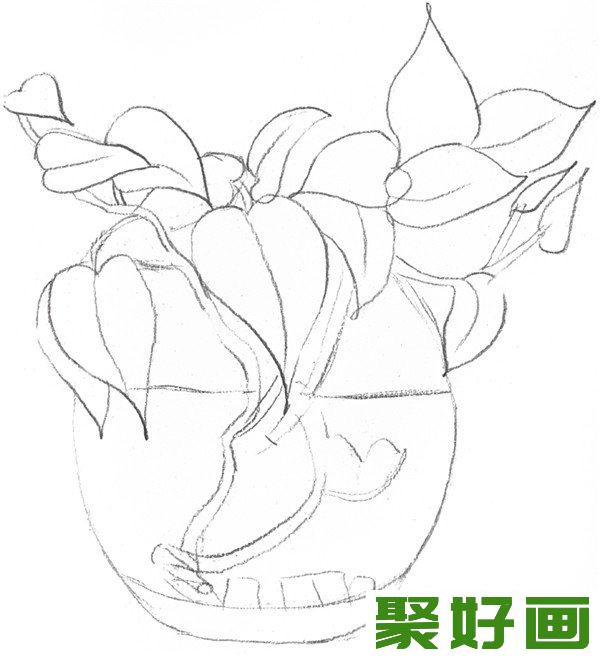 素描水培绿萝