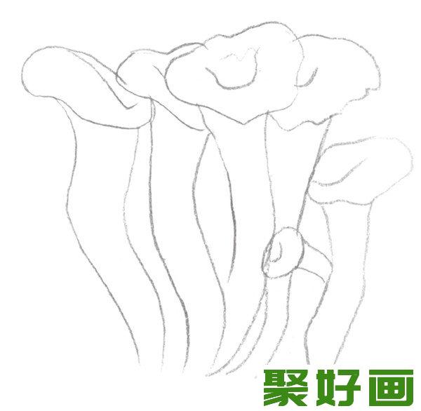 素描蘑菇线条