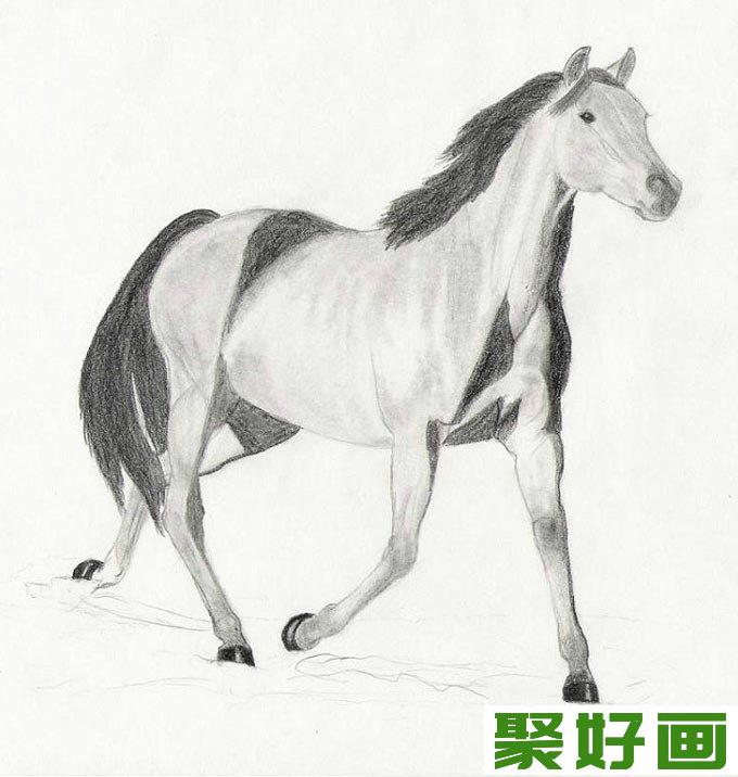 关于马的铅笔画素描作品：骏马铅笔画图片