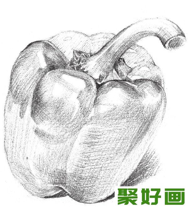 素描柿子椒纹路