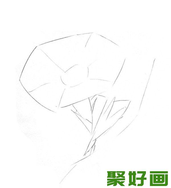 素描喇叭花轮廓