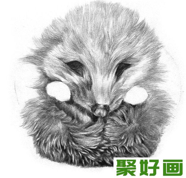 素描小刺猬毛发生长方向