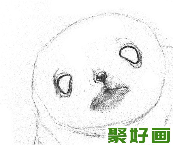 素描海豹眼镜