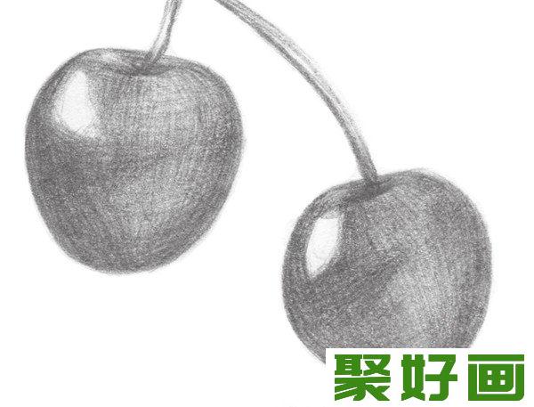 素描小樱桃枝绘制要点