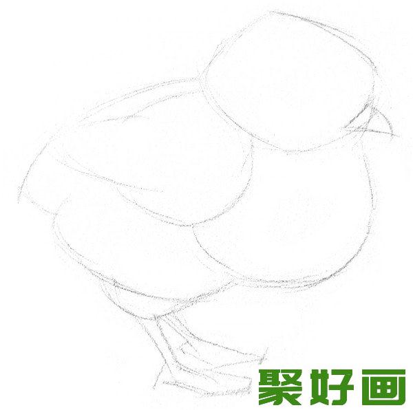 素描小鸡轮廓