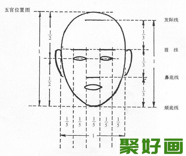 素描头像五官比例问题