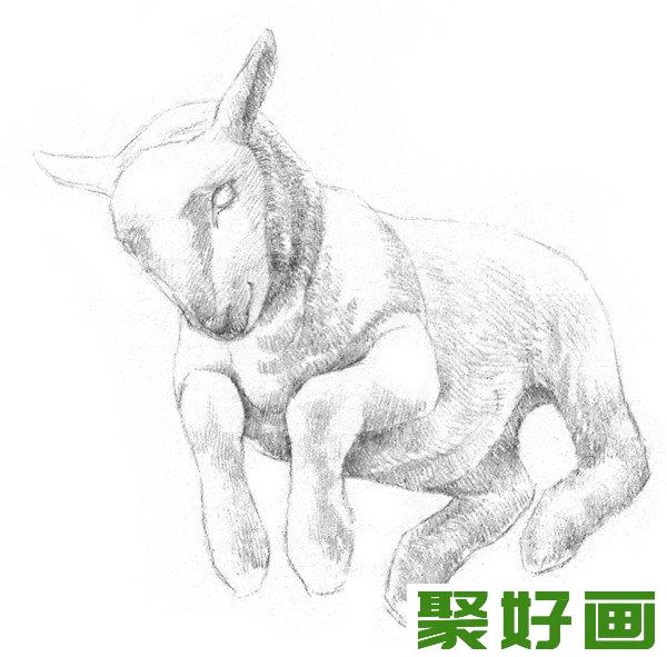 素描小羊身体