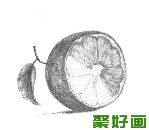 素描橙子果肉