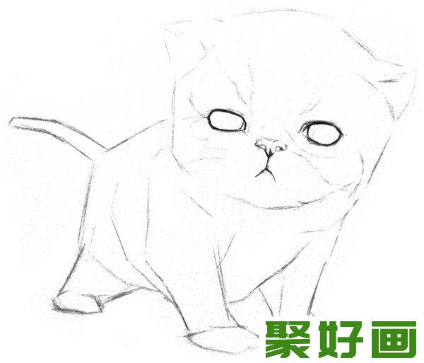 素描动物小猫咪