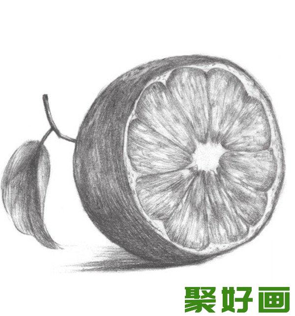 素描橙子