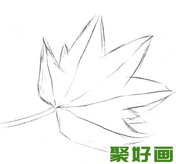 素描枫叶整体轮廓