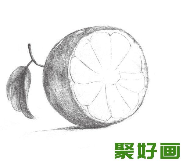 素描橙子外皮