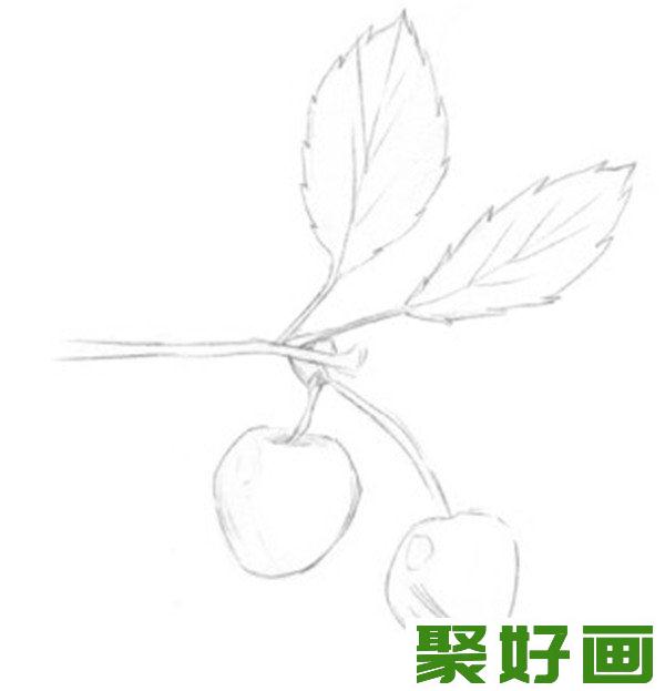 素描小樱桃枝描绘