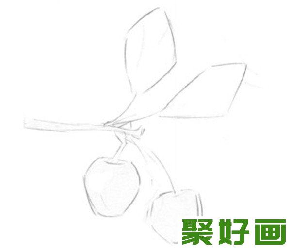 素描小樱桃枝轮廓