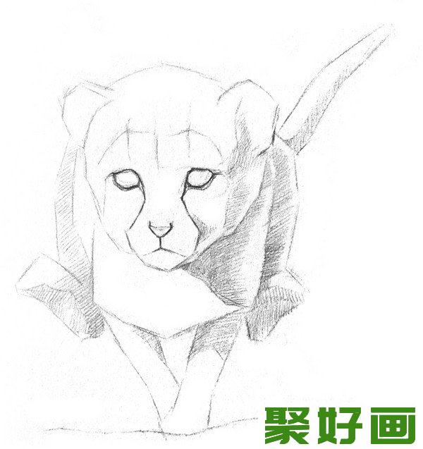 素描小猎豹明暗关系