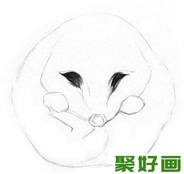 素描小刺猬眼睛深入