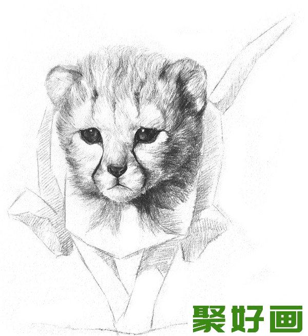 素描小猎豹入门