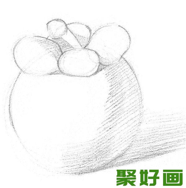 素描山竹明暗关系