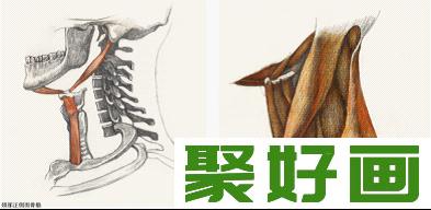 素描教程：人物素描半身像技巧