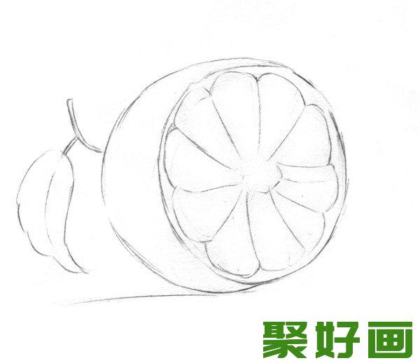 素描橙子轮廓