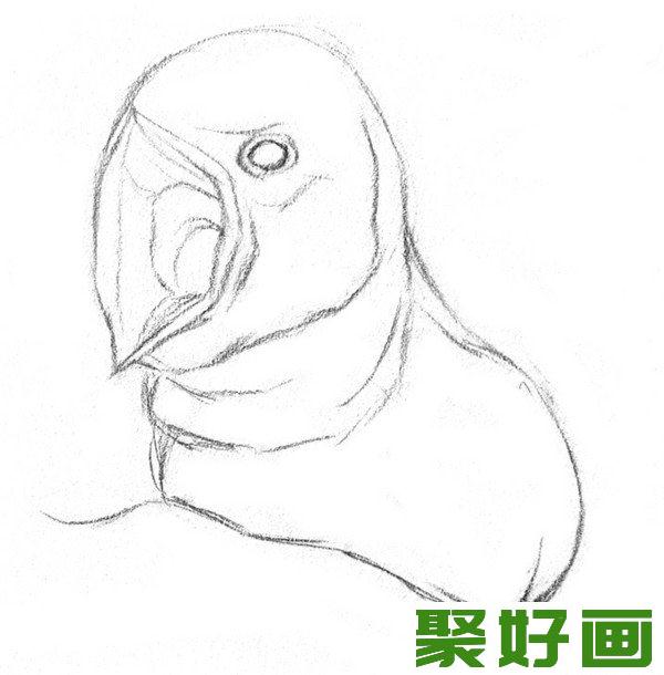 素描小燕子完整外形