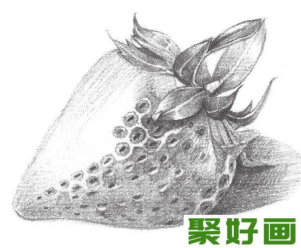 素描草莓明暗关系