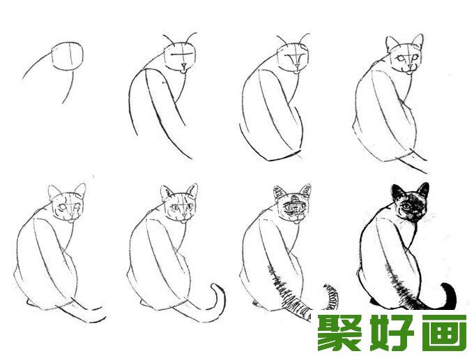 猫咪线描<a href=../zhonglei/sumiaohua/suxie/ target=_blank class=infotextkey><a href=../zhonglei/sumiaohua/suxie/ target=_blank class=infotextkey>速写</a></a>教程之蹲卧背面猛回首姿势