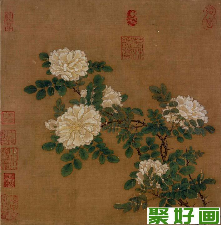 马远《白蔷薇图》_宋代写实工笔花鸟画名画