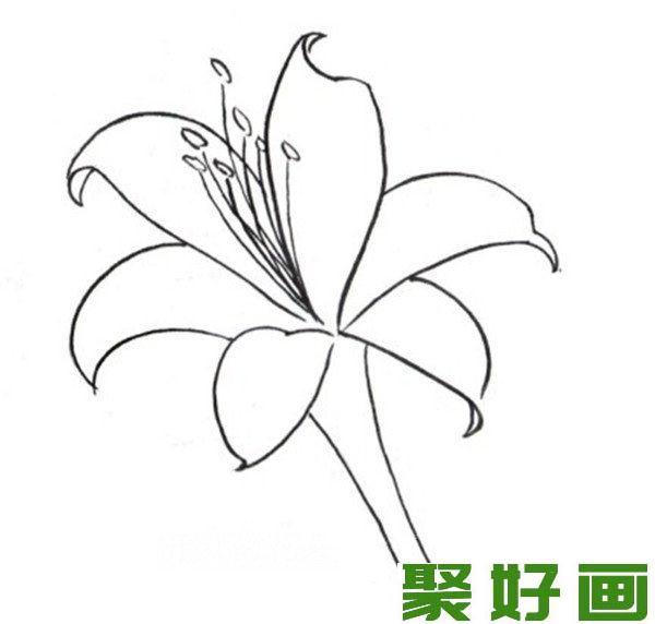 白描玉簪花