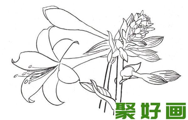 白描玉簪花组合