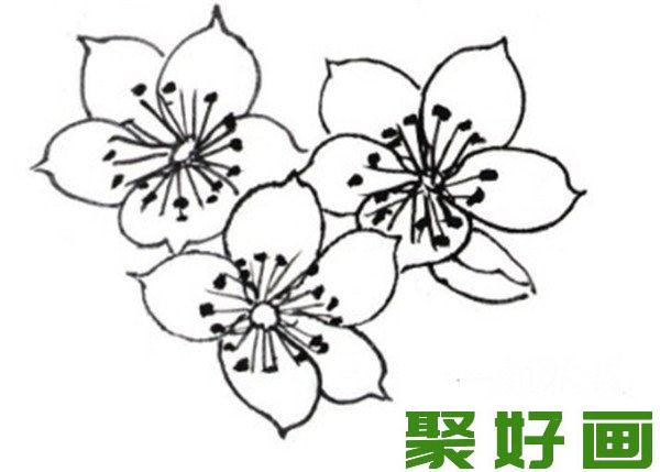 白描海棠花