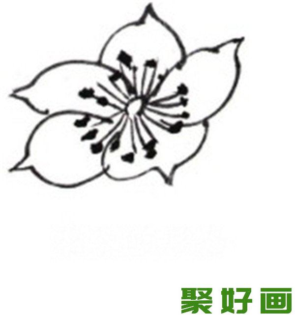 白描海棠花图片