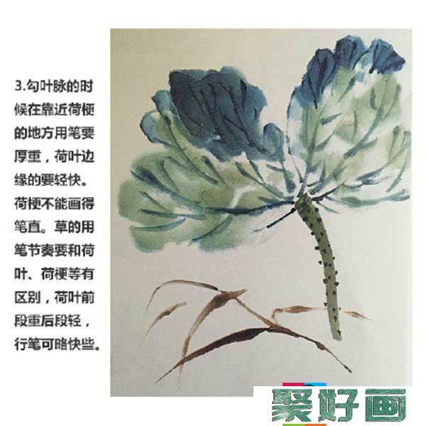 水墨画荷花画法