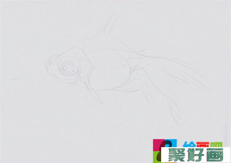 彩铅画动物：金鱼的彩铅画教程